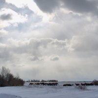 зимний денек :: Павел Федоров