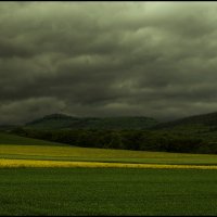 Mosel :: Андрей Бойко