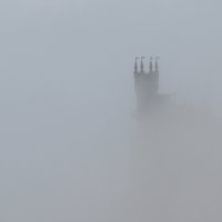 туман :: Николай Ковтун