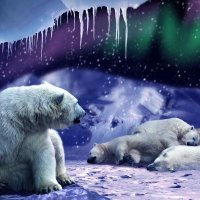 Спят твои соседи, белые медведи, что же ты не спишь? :: Сергей Михайлов