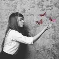 butterflys :: Karol Key
