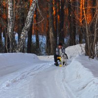 Я даже и хозяина прокачу :: Алексей http://fotokto.ru/id148151Морозов