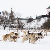 Сейчас мы их... :: Иван Щербина