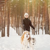 Зимняя фотосессия в лесу с хаски :: Лилия Абзалова