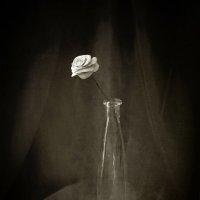 Каменный цветок. :: Оксана Евкодимова