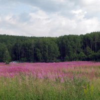 И это совершенный метод :: Борис Рогов