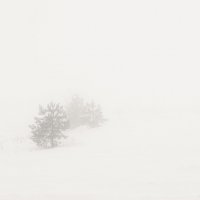 Туман :: Дмитрий Чулков