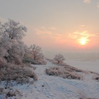 Морозное утро :: Сергей Акимов
