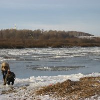 Ледоход :: Cергей Скотников