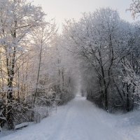 Зимнее :: Алёнка Шапран