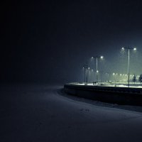 Зима на Финском заливе :: Владимир Дарымов