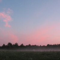 туман на поле :: геннадий щербак