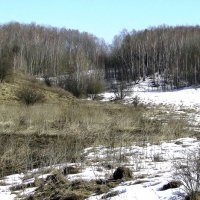 Март за городом. :: Борис Митрохин