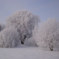 Была зима.... :: Mariya laimite