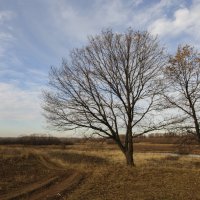 Предзимье... Нижегородчина. :: Фёдор Куракин