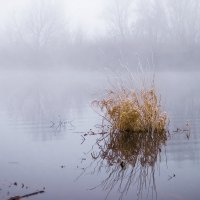 В сиреневой дымке тумана :: Елена Пономарева