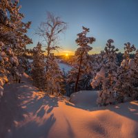 В янтарных лучах солнца. :: Фёдор. Лашков