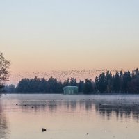 Осеннее утро :: Алёнка Шапран