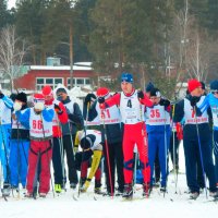 Лыжные гонки :: Владимир Звягин