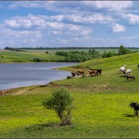 Просторы :: Александр Лихачёв