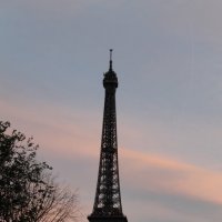 Paris. :: Дарья Громова