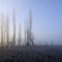 Туманное утро :: Sergey Kuznetcov