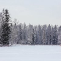 Зимнее настроение :: Алёнка Шапран