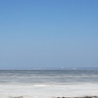 На берегу Финского залива :: Маера Урусова