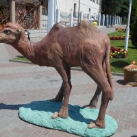 Скульптура "Верблюд" :: Сергей Грымов