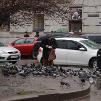 Lviv :: Юлия Склярова