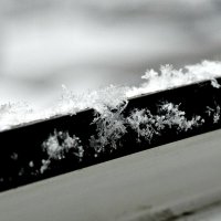 снежинки :: Дарья Симонова