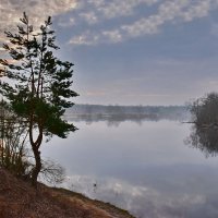 Раннее  утро. :: Валера39 Василевский.