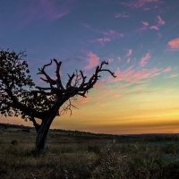 Одиночество в степи :: Вячеслав К