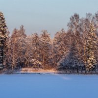 Зимняя сказка в Гатчинском парке :: Алёнка Шапран