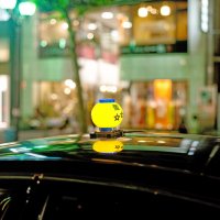 Токийское такси #3 :: Олег Неугодников