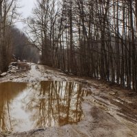 Весенняя распутица. :: Альмира Юсупова