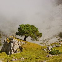 Швейцария. Гора Пилатус. :: Наталья Иванова