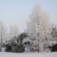 Зимний пейзаж :: Balakhnina Irina