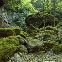 Валуны. :: Николай Сидаш