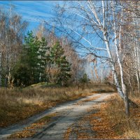 *** :: Александр Лихачёв