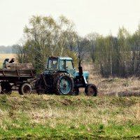 Весна :: Александр 