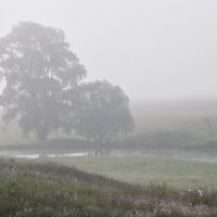 Предрассветный туман :: Марина Грушина