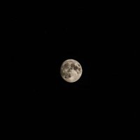 Луна :: Олеся Буранова