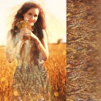 Пшеничные волосы :: Анастасия Родионова