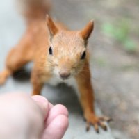 ... :: Олеся Кудряшова