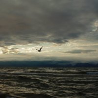 Малое море, озеро Байкал :: Евгения Вишнякова
