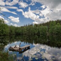 У пруда :: Евгений Плетнев