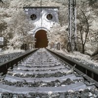 Запретная зона :: Юрий Ходзицкий