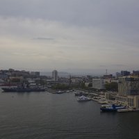 Владивосток. Вид с моста :: Нина Ковзель