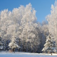 Зимняя сказка! :: Олег Семенцов